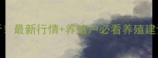 图片 通许生猪价格波动分析！最新行情+养殖户必看养殖建议（附今日数据）🐷💸