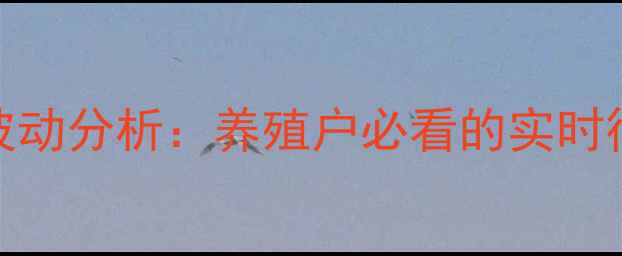 图片 邯郸毛猪价格波动分析：养殖户必看的实时行情与养殖指南