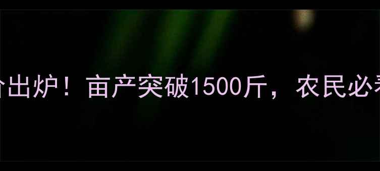 图片 邹平西王玉米最新报价出炉！亩产突破1500斤，农民必看价格走势与种植攻略