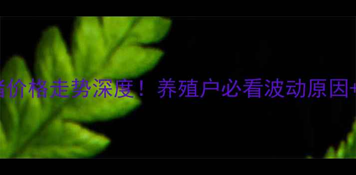 图片 郓城县生猪价格走势深度！养殖户必看波动原因+未来预测2