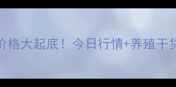 图片 都江堰生猪价格大起底！今日行情+养殖干货全公开🐷🔥