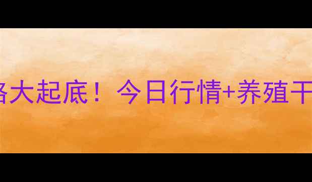 图片 都江堰生猪价格大起底！今日行情+养殖干货全公开🐷🔥1