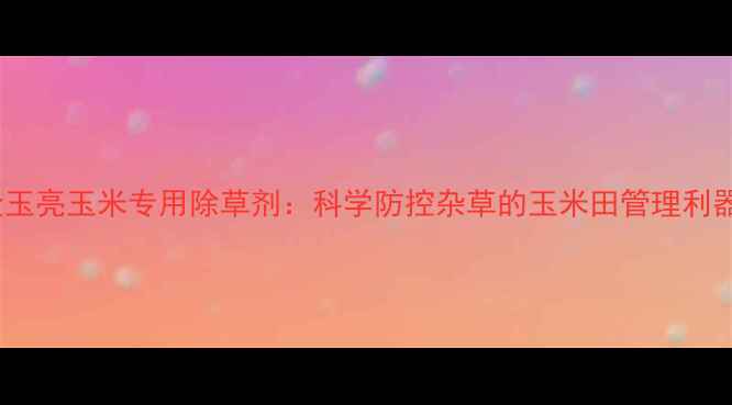 图片 金玉亮玉米专用除草剂：科学防控杂草的玉米田管理利器2