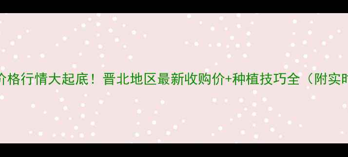 图片 阳泉玉米价格行情大起底！晋北地区最新收购价+种植技巧全（附实时报价表）