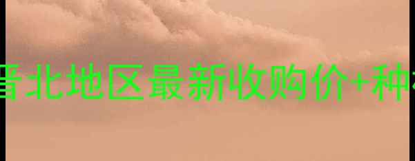 图片 阳泉玉米价格行情大起底！晋北地区最新收购价+种植技巧全（附实时报价表）1