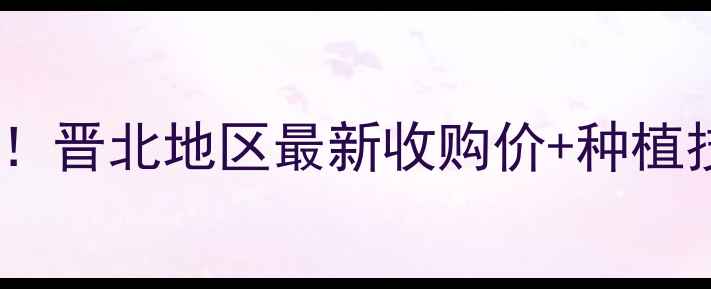 图片 阳泉玉米价格行情大起底！晋北地区最新收购价+种植技巧全（附实时报价表）2