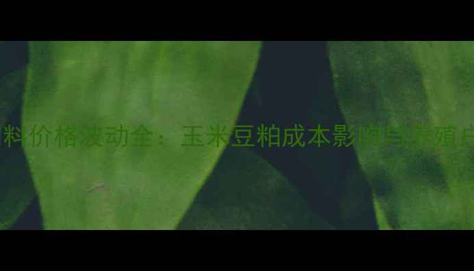 图片 陕西正能饲料价格波动全：玉米豆粕成本影响与养殖户采购指南1