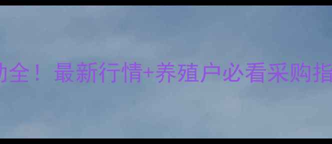 图片 陕西鸡蛋价格波动全！最新行情+养殖户必看采购指南（附8月数据）