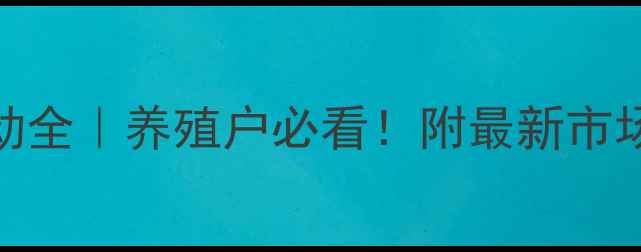图片 陕西鸡蛋价格波动全｜养殖户必看！附最新市场数据+应对策略1