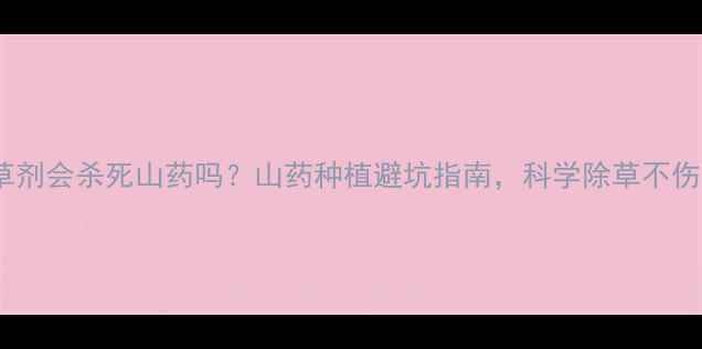 图片 除草剂会杀死山药吗？山药种植避坑指南，科学除草不伤根1