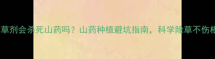 图片 除草剂会杀死山药吗？山药种植避坑指南，科学除草不伤根2