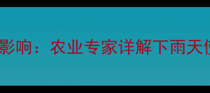 图片 除草剂安全间隔期与降雨影响：农业专家详解下雨天使用注意事项及补救措施2