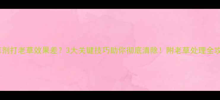 图片 除草剂打老草效果差？3大关键技巧助你彻底清除！附老草处理全攻略1