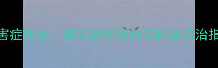 图片 除草剂药害症状全：常见类型识别与科学防治指南（版）