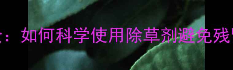 图片 除草剂除草原理全：如何科学使用除草剂避免残留风险及作物损伤