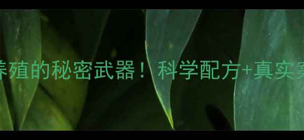 图片 集能猪饲料：高效养殖的秘密武器！科学配方+真实案例，养殖户必看！