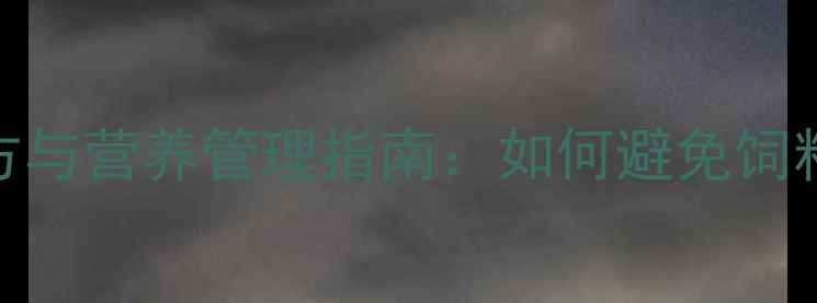 图片 雏鸡养殖必看科学饲料配方与营养管理指南：如何避免饲料问题导致雏鸡生长不良？