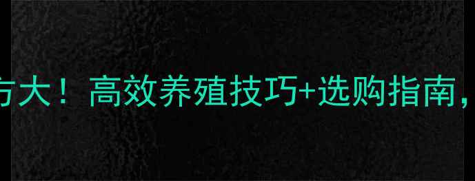 图片 青岛虾饲料配方大！高效养殖技巧+选购指南，养殖户必看！