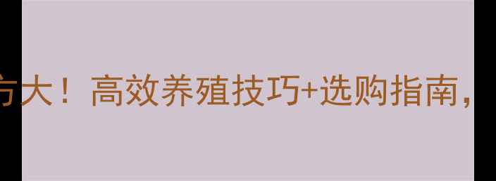 图片 青岛虾饲料配方大！高效养殖技巧+选购指南，养殖户必看！1