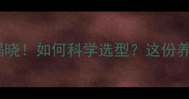 图片 青岛鸡饲料厂家排名揭晓！如何科学选型？这份养殖户必读指南请收好1