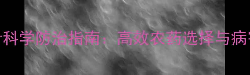 图片 青椒烂叶科学防治指南：高效农药选择与病害管理全