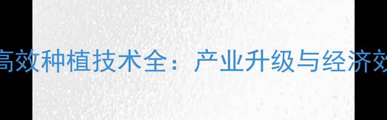 图片 青海苜蓿饲料高效种植技术全：产业升级与经济效益双提升路径