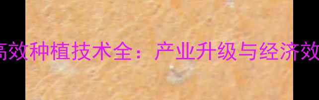 图片 青海苜蓿饲料高效种植技术全：产业升级与经济效益双提升路径1