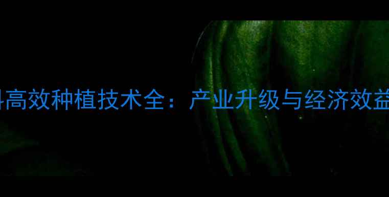 图片 青海苜蓿饲料高效种植技术全：产业升级与经济效益双提升路径2