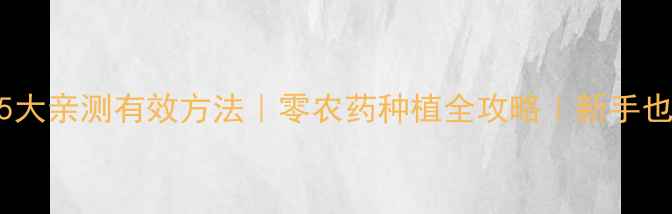 图片 青菜不喷农药的5大亲测有效方法｜零农药种植全攻略｜新手也能养出安全菜地