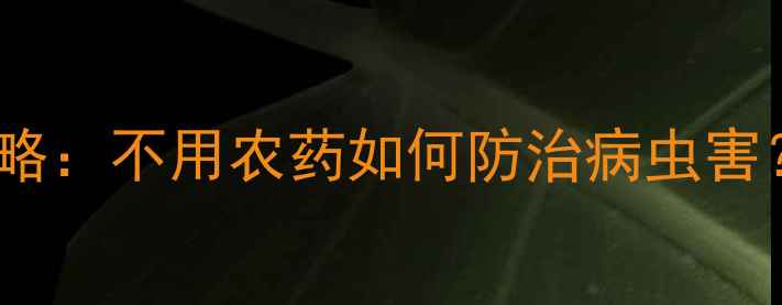图片 青菜有机种植全攻略：不用农药如何防治病虫害？生态农业新趋势1