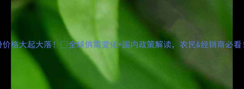 图片 面粉价格大起大落！📈全球供需变化+国内政策解读，农民&经销商必看！🌾