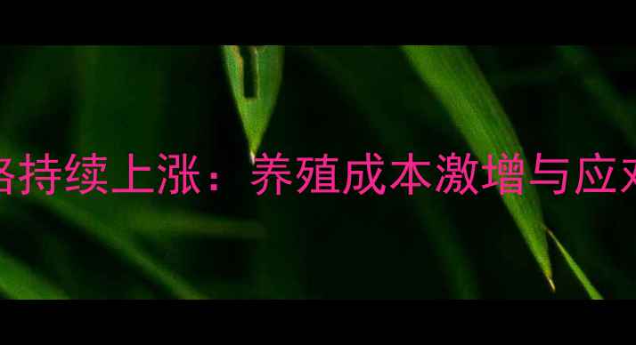 图片 饲料价格持续上涨：养殖成本激增与应对策略全