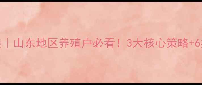 图片 饲料促销爆款方案｜山东地区养殖户必看！3大核心策略+6类高转化选品清单