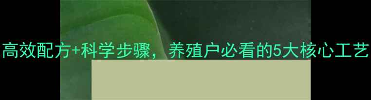 图片 饲料化学加工法：高效配方+科学步骤，养殖户必看的5大核心工艺（附成本对比表）