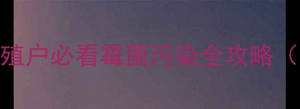 图片 饲料发霉别慌张！养殖户必看霉菌污染全攻略（附检测+处理+预防）