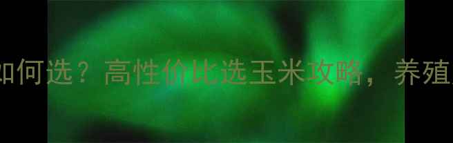 图片 饲料玉米如何选？高性价比选玉米攻略，养殖户必看！2