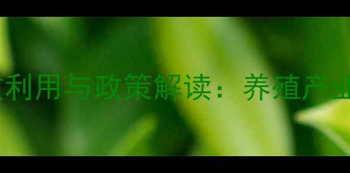 图片 饲料用地高效利用与政策解读：养殖产业规划新方向2