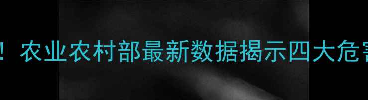 图片 饲料肉养殖隐患大！农业农村部最新数据揭示四大危害及行业转型方向2