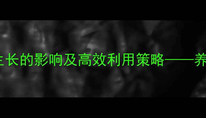 图片 饲料脂肪科学添加对猪只生长的影响及高效利用策略——养殖户必看的营养管理指南1