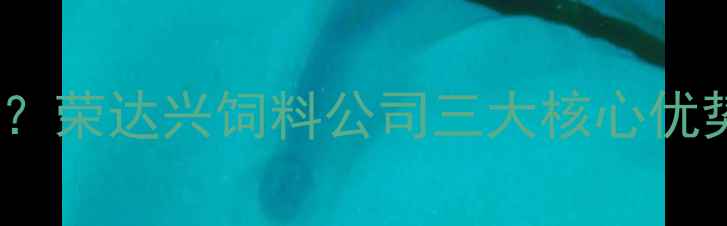 图片 饲料配方如何选对？荣达兴饲料公司三大核心优势+养殖户案例实测