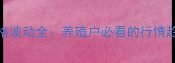 图片 饲料鸡肉粉价格波动全：养殖户必看的行情趋势与应对策略