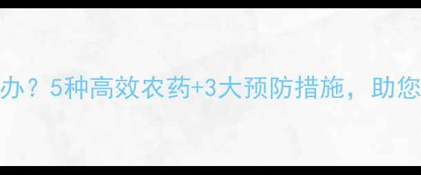 图片 香芋叶子溃烂怎么办？5种高效农药+3大预防措施，助您科学应对病害侵袭