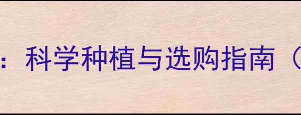 图片 香菇农药残留真相：科学种植与选购指南（附权威检测数据）