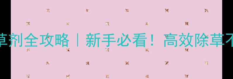 图片 香菜苗前封地除草剂全攻略｜新手必看！高效除草不伤苗的3大关键2