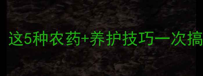 图片 香蕉叶子发黄卷曲？这5种农药+养护技巧一次搞定！附详细配比表2