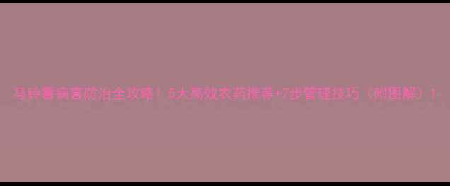 图片 马铃薯病害防治全攻略！5大高效农药推荐+7步管理技巧（附图解）1