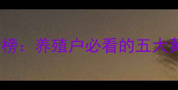 图片 高利润饲料品类排行榜：养殖户必看的五大黄金赛道及投资指南1