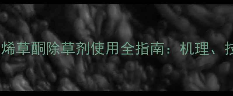 图片 高效除草新选择烯草酮除草剂使用全指南：机理、技巧与安全操作1