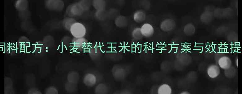 图片 高效鸡饲料配方：小麦替代玉米的科学方案与效益提升指南2
