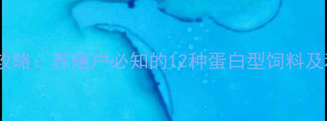 图片 高蛋白饲料全攻略：养殖户必知的12种蛋白型饲料及科学选用指南2